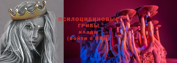 PSILOCYBIN Белокуриха