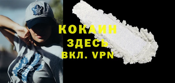 mdpv Богородицк