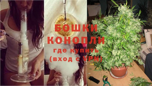 дурь Богданович